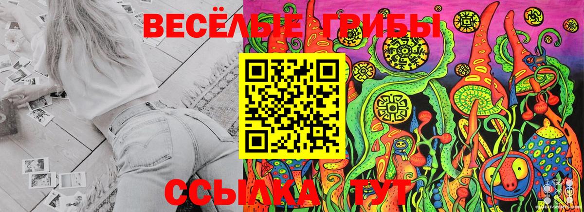 где найти   Галлюциногенные грибы GOLDEN TEACHER  Вход с VPN  Каменка 